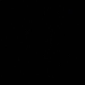 Meet your Posher, Benjamin